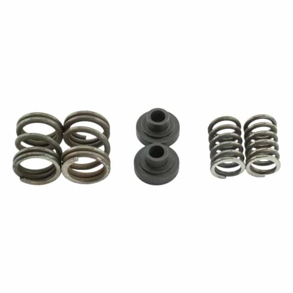 Industrial Injection - Industrial Injection Dodge Governor Springs For 94-98 5.9L Cummins 3000 RPM  - 232614